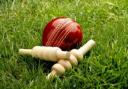 Maldon to host Kwik Cricket Festival
