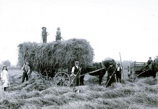 A staff of eight was required for haymaking, but today it is a one or two-man job.
Picture: Michael Head