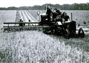 Five workers take part in harvesting in the 1940s. 
Picture: Michael Head