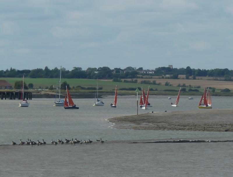 Birds, boats and a boo’iful day during Burnham Week, taken by Peter Beckett, of Maldon. 
