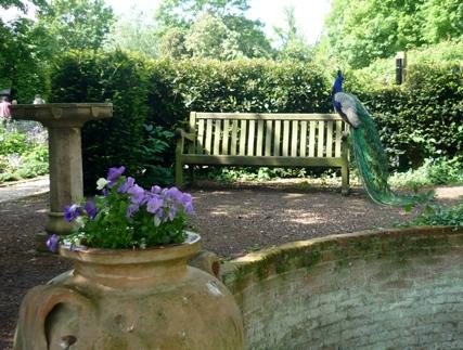 Beeleigh Abbey open gardens, taken by Trudy Read, of Maldon.