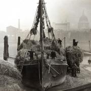 Stackie sailing barge Bluebell unloading hay at Bankside, London, in 1933 (permission Kevin Fuller)