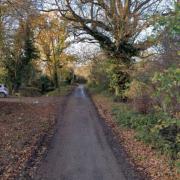 Road - a Street View image of Solid Lane in Doddinghurst where the animal bodies were reportedly been found