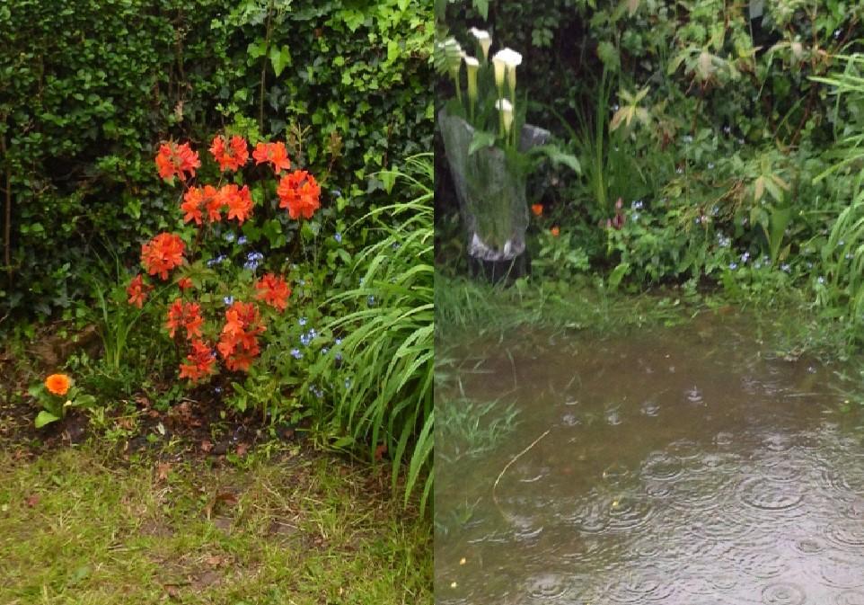 Before and after shots of garden in Heybridge. Credit Tracy Gunn.