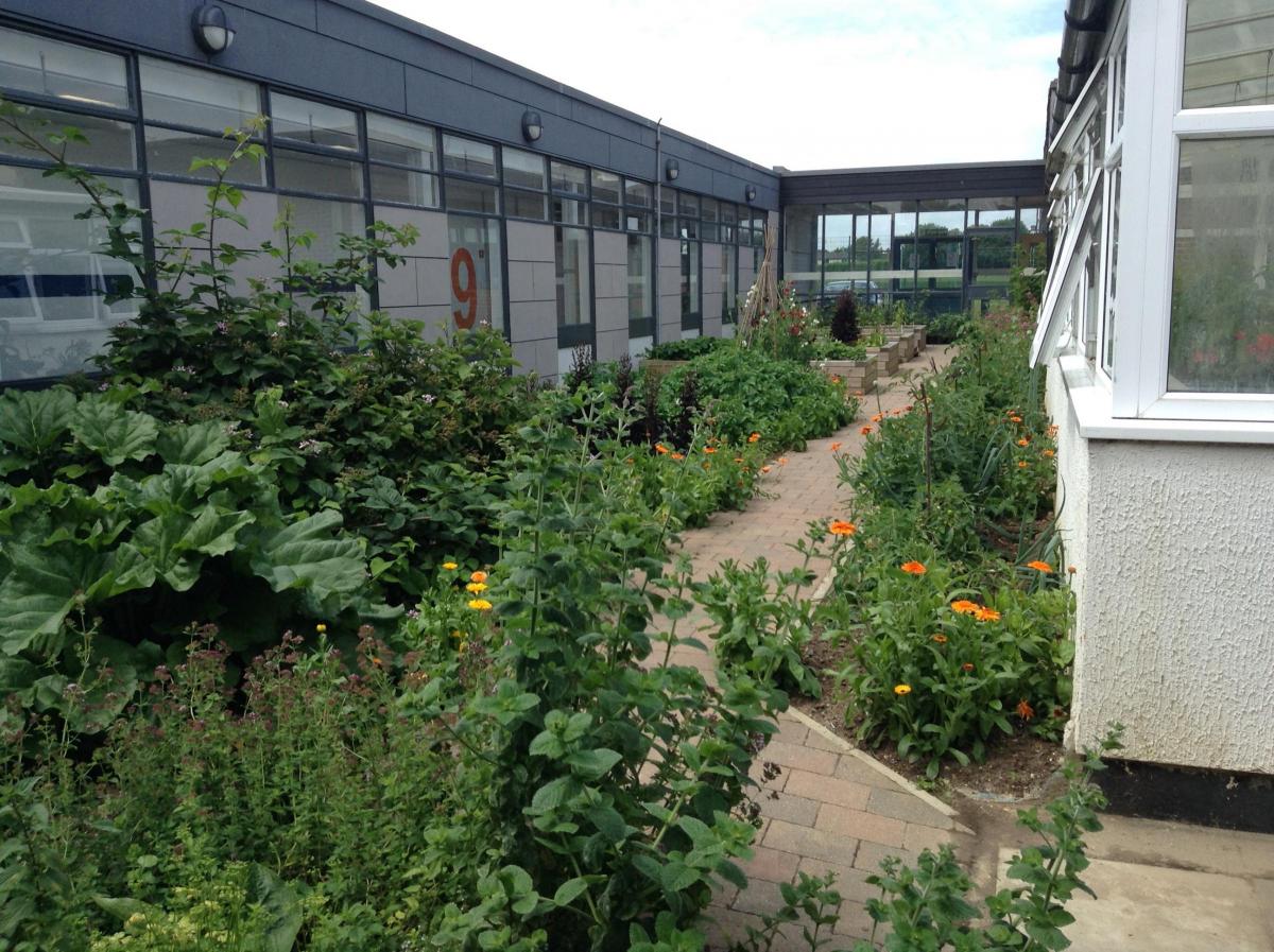 Best School Garden: Ormiston Rivers Academy