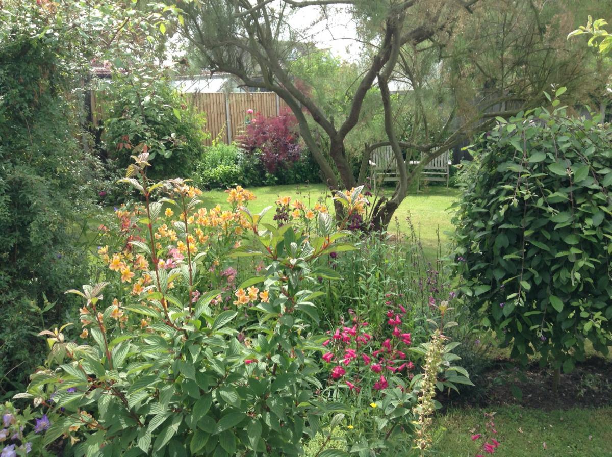 Best Bee Friendly Garden: John Green, Fernlea Road