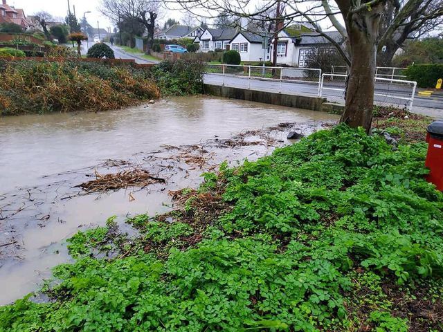 Clacton campaigners: 'Development will cause further flooding' | Maldon and Burnham Standard - Vimarsana News