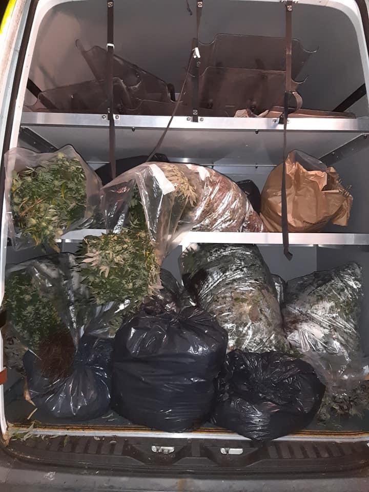 Seized - the bagged up cannabis plants found in the raid in Heath Road, Ramsden Heath