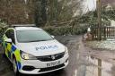 Police attended fallen tree which hit power line