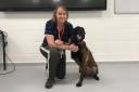 Award winners - Mandy Chapman and retired police dog Baloo on a visit to Writtle University College