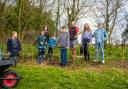 Residents old and young in Tollesbury have planted 400 trees to tackle climate change. Photo: Tollesbury Climate Partnership