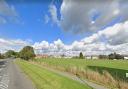 Primrose Meadows: the land could be the site of 124 homes