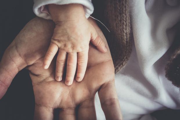 Maldon and Burnham Standard: A Father and child's hand next to each other. Credit: Canva