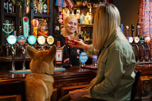 Maldon and Burnham Standard: Take a Corgi for a free 'Queen's Tipple' over the Platinum Jubilee weekend. Picture: Greene King