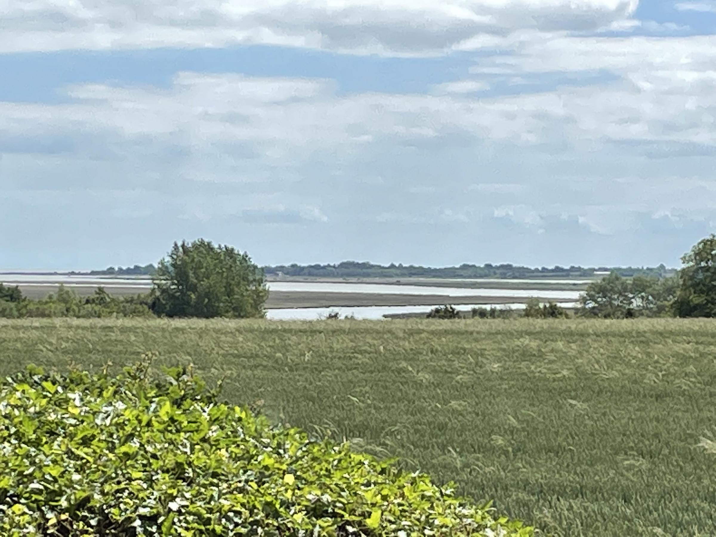 Hayletts Gallery art to stage exhibition in Fingringhoe | Maldon and Burnham Standard - Vimarsana News