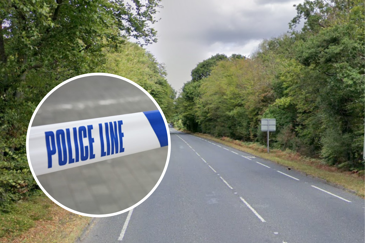 Epping New Road: Woman dies at scene of serious crash | Maldon and Burnham Standard - Vimarsana News