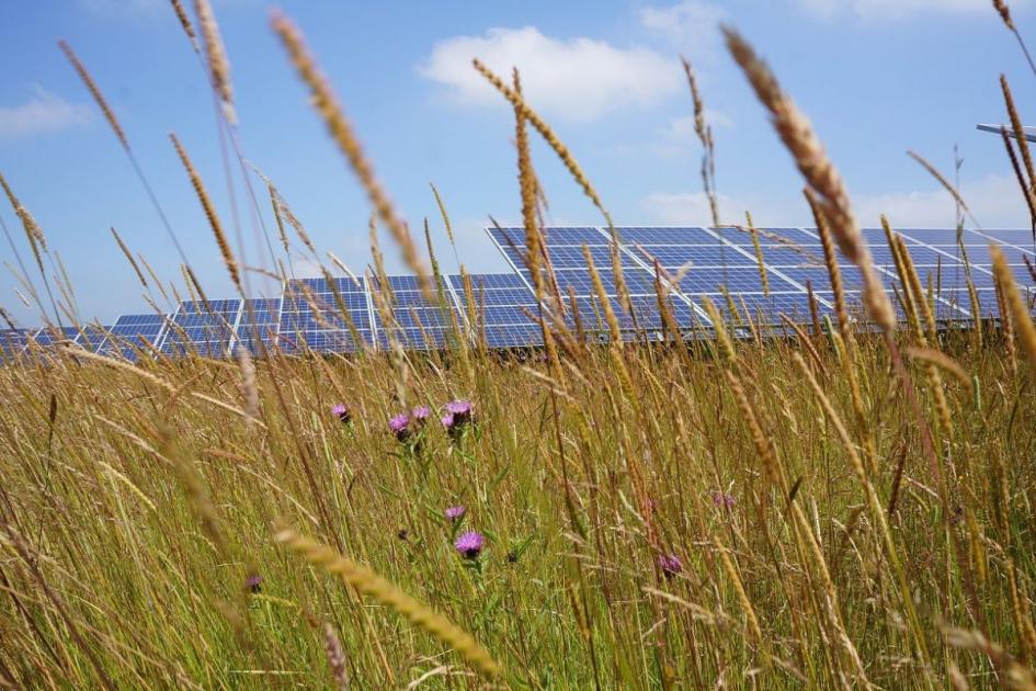 Dengie Solar Park plans resubmitted to Maldon Council | Maldon and Burnham Standard 