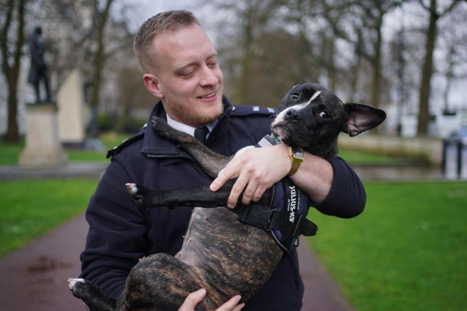 Puppy gets new home with Met police officer who rescued her from squalid flat