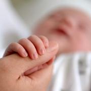More babies were born in the Maldon district in 2021 than the previous year