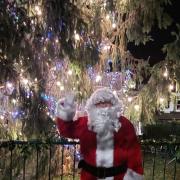 Father Christmas switched on the tree lights in Danbury