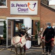 Staff at St Peter's Court Nursing Home gave their residents a special Christmas treat with the help of J&C's Party Pets