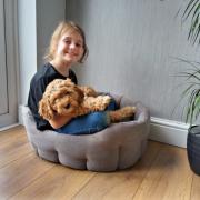 Lydia Ruffle, 10, with her dog Tilly - which was bought with funds the youngster raised herself