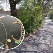Police are investigating after (inset) jewellery  (Essex Police) was stolen from a home in Mill Lane, Danbury (Google Maps)
