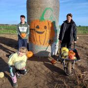 Happy customers: enjoying pumpkin picking Picture: Cobbs Farm