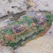 The unexploded Second World War shell was discovered on Tuesday