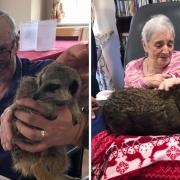 Therapy: the animals provided an animal therapy session to residents