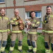 Happy ending – the firefighters rescued Alfie and Belle after they got stuck underneath a shed