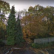 Controversy -  the woods in Tiptree which campaigners are fighting for