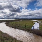 Managing: New creeks and lagoons as part of managed realignment on Northey Island
