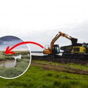 Conservationists have taken down a section of sea wall to help protect saltmarsh on Northey Island