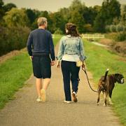 Example - Stock image of a couple walking a dog