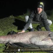 Whopper - Darren Reitz with the 143lb catfish thought to be the biggest ever fish caught on a rod in freshwater in the UK