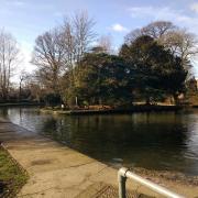 Duck pond : Grove Pond in Tiptree will be drained