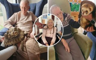 Animals - guests from Maldon Petting Zoo visited care home residents for animal therapy session